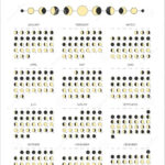 2024 Year Moon Calendar Template, Moonlight Activity Stages In Full Moon Calendar August 2024