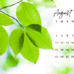 August 2024 Desktop Wallpaper | Entheosweb Intended For August 2024 Calendar Desktop Wallpaper