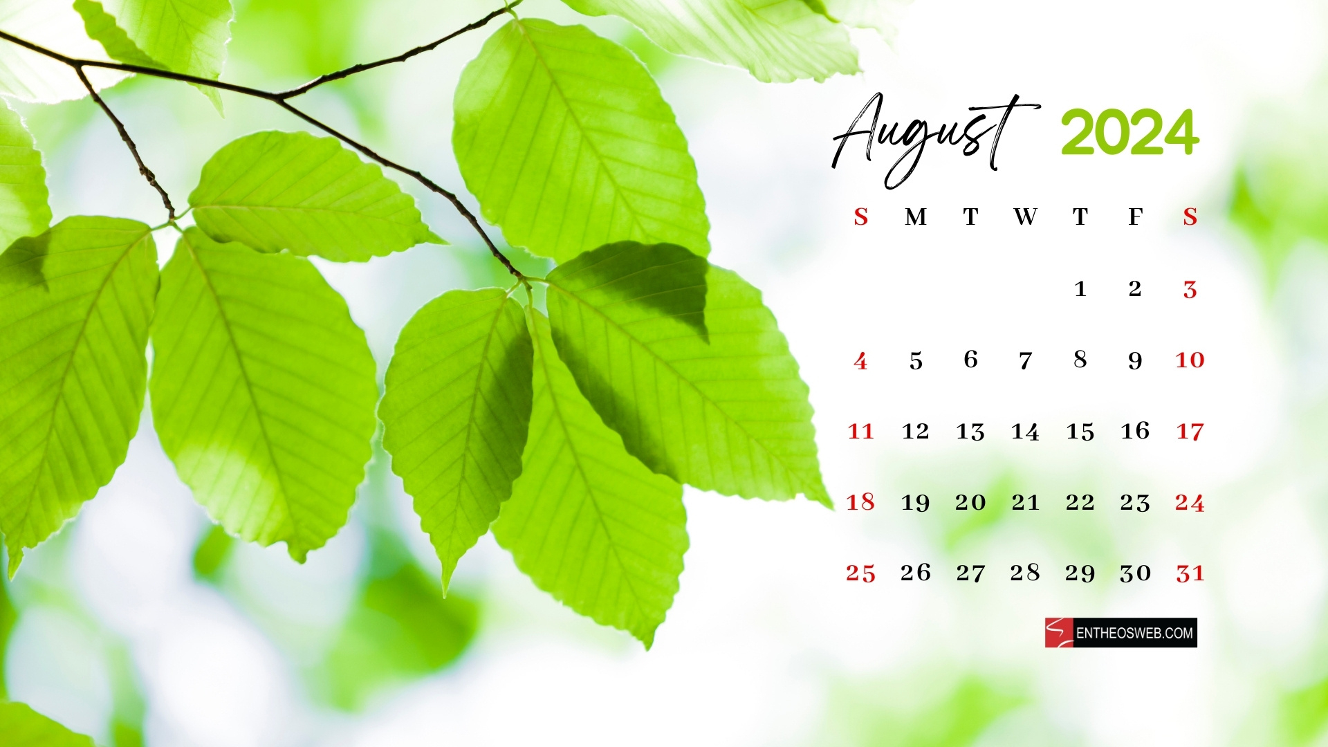 August 2024 Desktop Wallpaper | Entheosweb intended for August 2024 Calendar Desktop Wallpaper