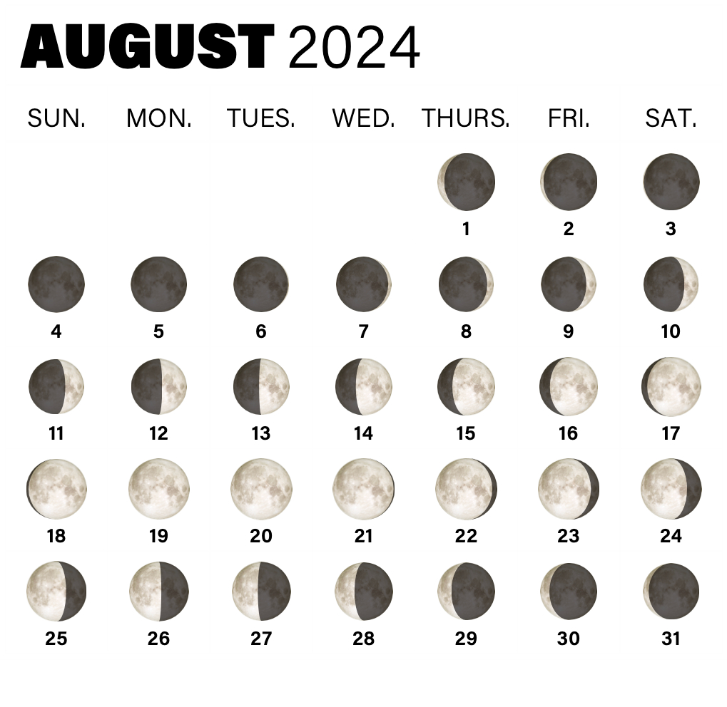 2024 Full Moon Calendar: When To See The Full Moon And Phases in Full Moon Calendar September 2024