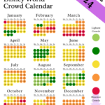 Disney World Crowd Calendar 2024: Best Times To Visit This Year Inside Disneyland Crowd Calendar September 2024