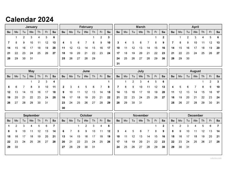 90 Day Printable Calendar September October November December 2024