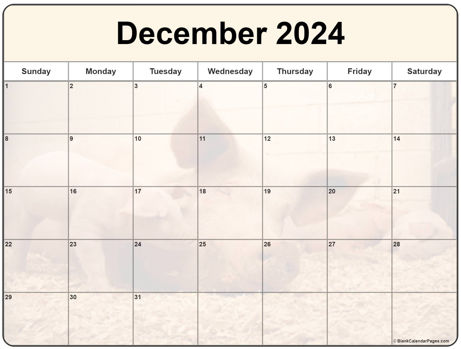 Collection Of December 2024 Photo Calendars With Image Filters. in 2024 December Calendar Printable Piglet