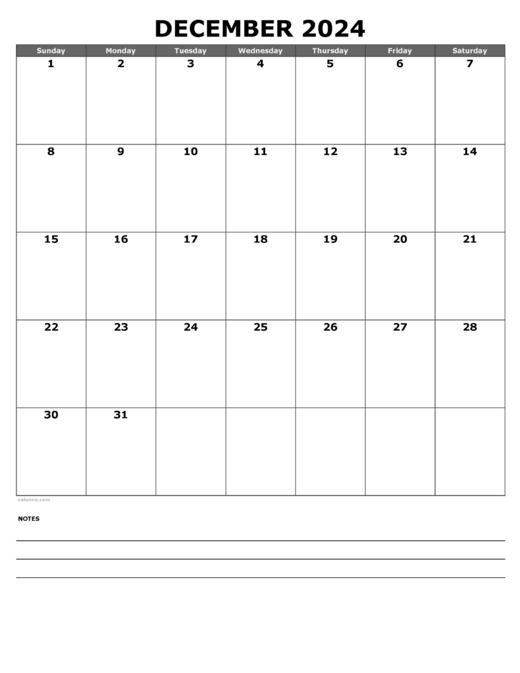 Blank Calendar Template December 2024 Printable