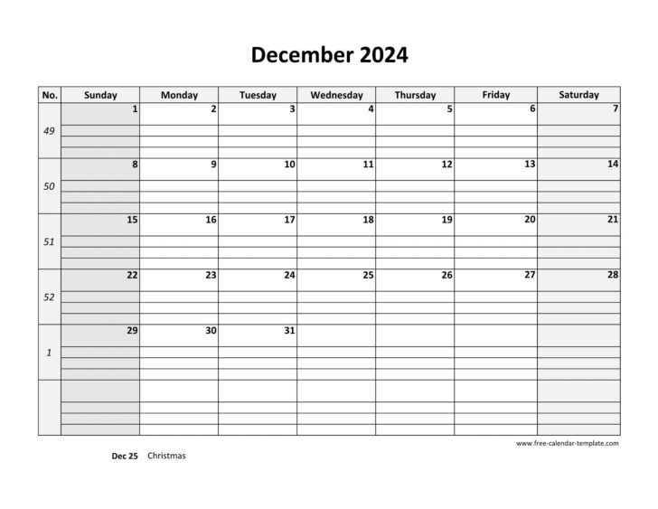 December 2024 Daily Calendar Printable