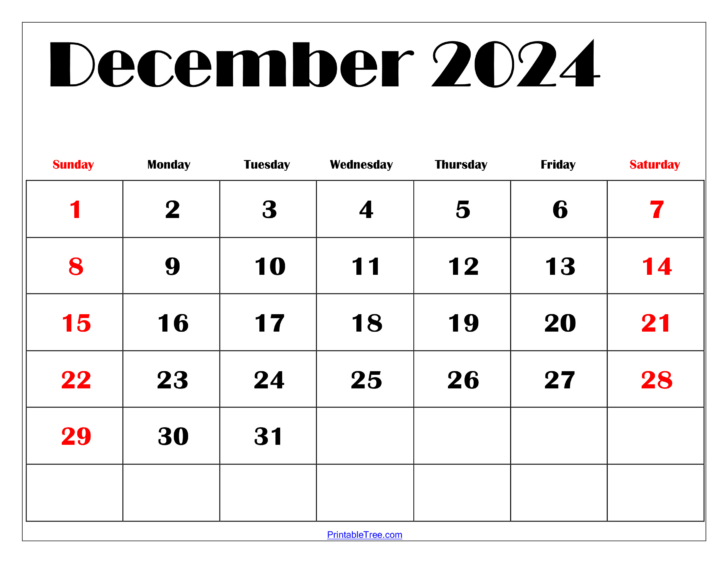 Daily Calendar Printable December 2024