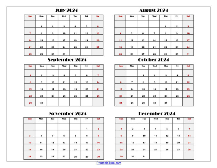 Printable Calendar July 2024 To December 2024