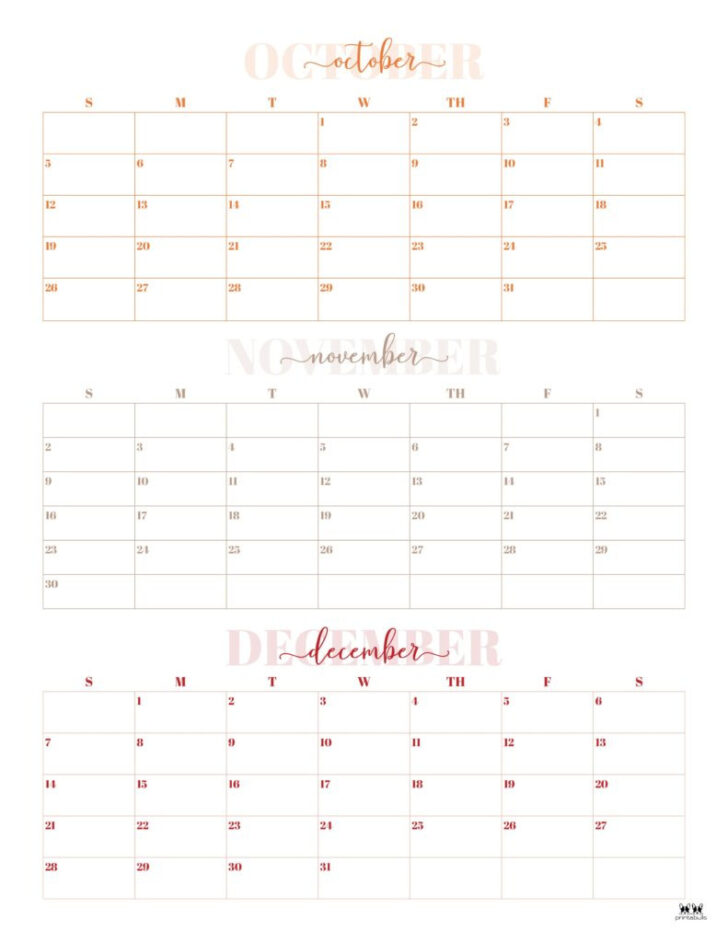 3 Month Calendar 2025 Printable