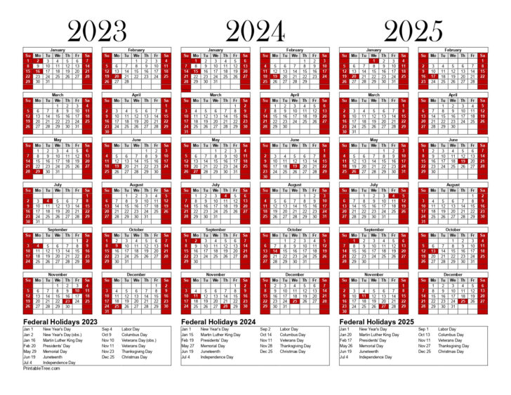 Printable 3 Year Calendar 2023 To 2025