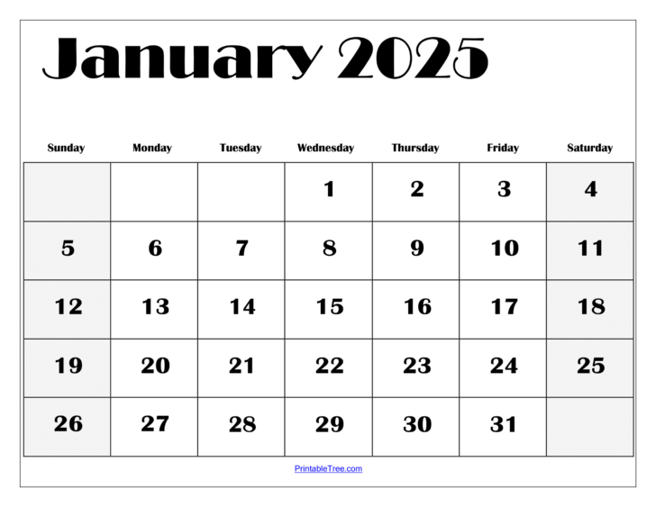 Printable Calander January 2025