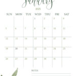 January 2025 Calendars   107 Free Printables | Printabulls Inside Free Printable January 2025