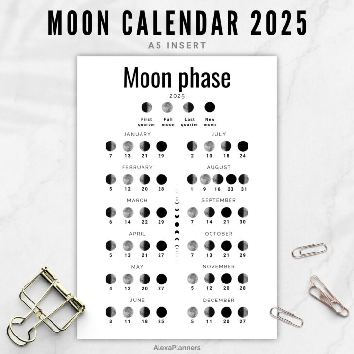 2025 Full Moon Calendar Printable