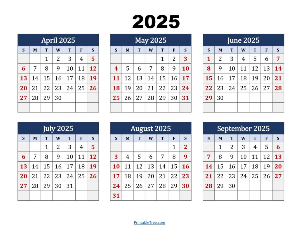 Six Month Calendar 2024-2025 Printable Pdf- 6 Months Calendar within 2025 6 Month Calendar Printable