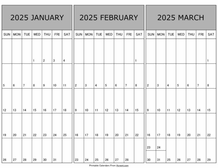 Jan Feb And March 2025 Calendar Fre Printable