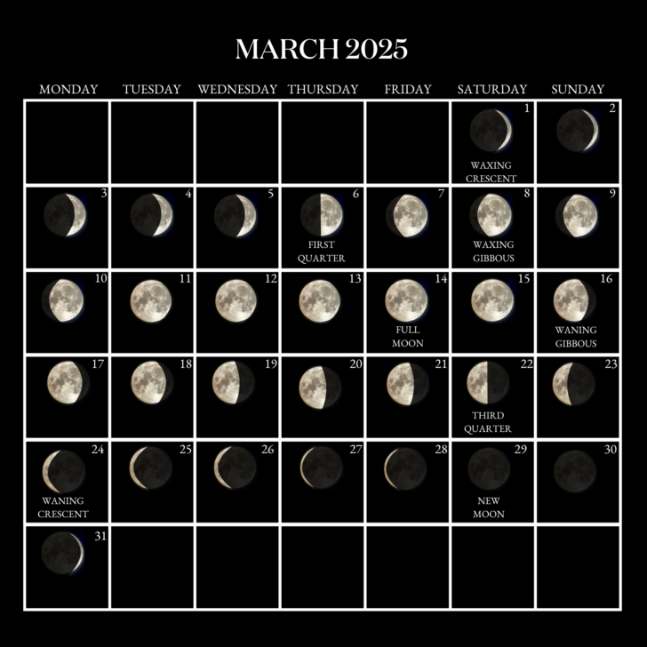 Moon Calendar For March 2025